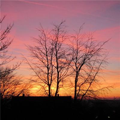 BOB博鱼·体育官网入口